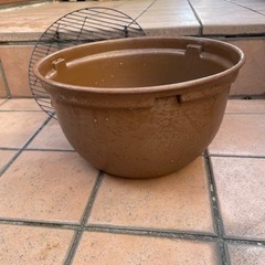 ジェックス メダカ元気 飼育鉢 370 茶色と専用蓋(網)の画像