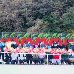 ソフトテニス　メンバー募集