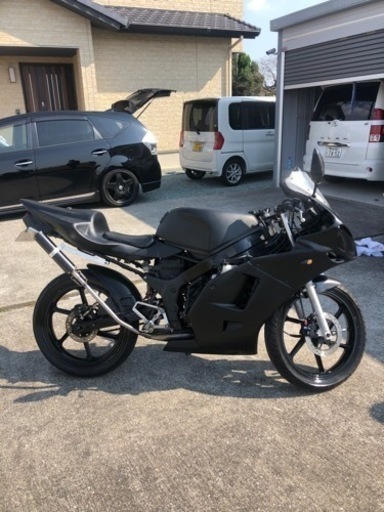 NS-1   R1ﾌｪｨｽ＋1000RRテール仕様