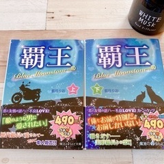 覇王(上下巻)藍月りお：魔法のiらんど文庫