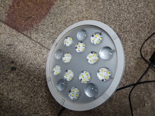 LEDランプ
