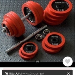 美品　ダンベル  IROTEC(アイロテック)ラバー 60kgセット