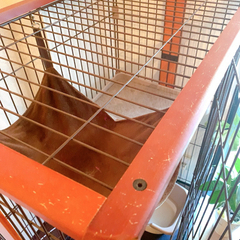 猫ちゃん用ペットケージの画像