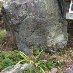 庭石です。の画像