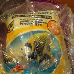 人工海水（中古）売りますの画像
