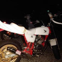 エイプ50 キャブ車 走行距離2000kmの画像