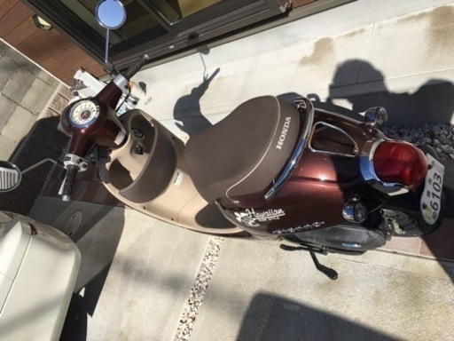 原付　本田 決まりました