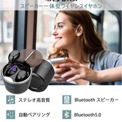 ❗️売却済み❗️新発想 イヤホン＆ミニスピーカー一体型