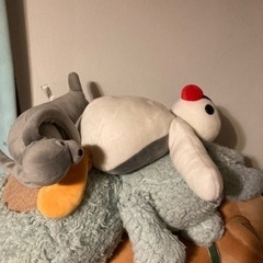 動画編集の練習させてください！