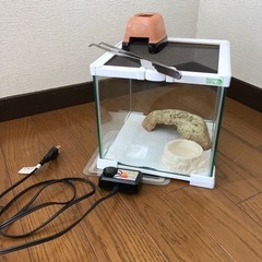中古は虫類用品　ガラス水槽+パネルヒーター
