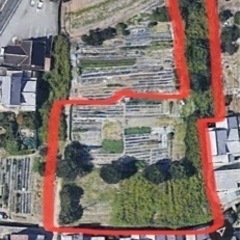 農地お貸しいたします  まだまだ空いてますよ - 姫路市