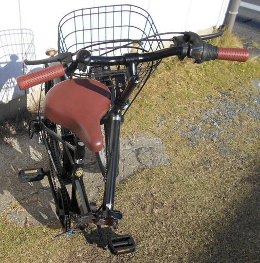 Raychell 20インチ折り畳み自転車 6段変速
