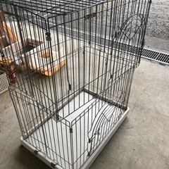 二階建て猫ゲージ　11/5までに連絡下さい