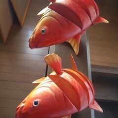 動く跳ねる鯉の親子