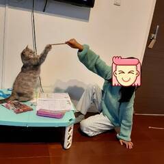 ひばりちゃん　♀