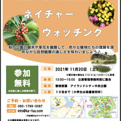 参加費無料！自然観察会の参加者募集中です☆香椎照葉アイランドシテ...