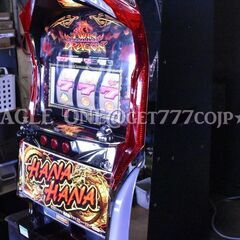 【入手困難】★ツインドラゴンハナハナ★パイオニア★沖スロ★実機★パチスロ★スロット★の画像