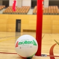 11月16日&28日ソフトバレーやります‼︎