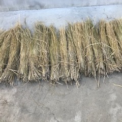 【募集中】格安！稲わら藁束　まとめ買い割引ありの画像