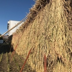 【募集中】格安！稲わら藁束　まとめ買い割引ありの画像