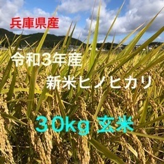 【令和3年10月収穫】兵庫県産 ヒノヒカリ　白米 ３０kg