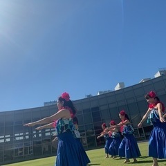 フラダンス教室メンバー募集中‼︎の画像