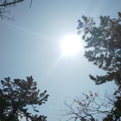 Üスピ友募集Ü − 埼玉県