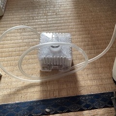 ロカボーイS