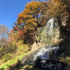 お茶友達しませんか。茅野、諏訪、岡谷あたりで