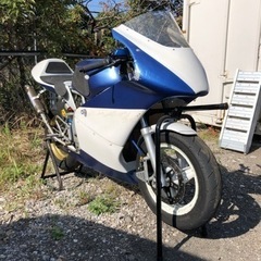 決まりました
