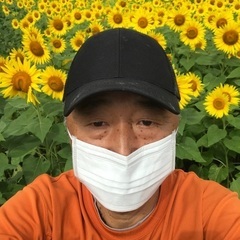 鶏順龍