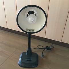 11月18日まで‼︎