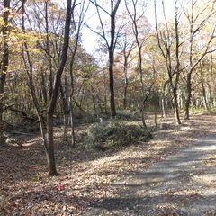 那須塩原市戸田１１６坪◆キャンプ用地に