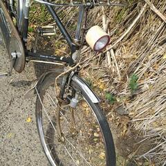 カワムラ　Fairy クラシック自転車の画像