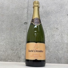 新品 未開栓 Duche Chevallier Dry  スペイ...