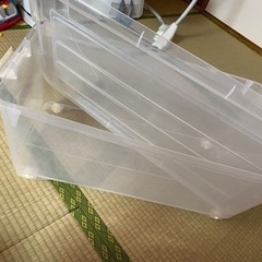 衣装ケース