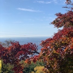 一緒に朝活しませんか？？⛰👣✨