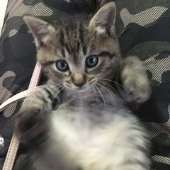 9月24日生まれ！自宅出産で母乳でコロコロまるまる育てられた抱っ...