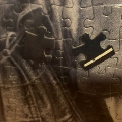 【無料】ジグソーパズル　完成品②　11/7までの画像