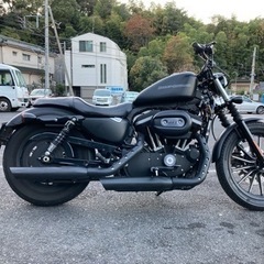HARLEY ハーレー　883nアイアン　極上車の画像