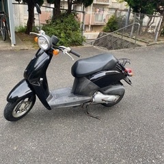 AF61 today の画像