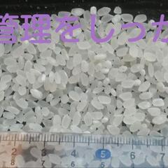 令和4年新米 鹿児島県霧島産　🈚農薬　🈚化学肥料　農家直送　もみ30kgの画像