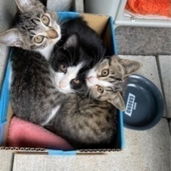 2匹里親きまりました！