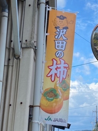 岡山県産　沢田の柿　3L 24玉