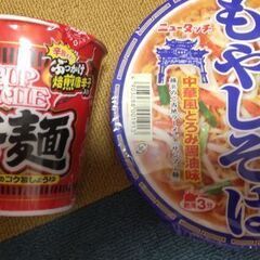 断捨離中　カップラーメン２つセット＋生ラーメン一食分