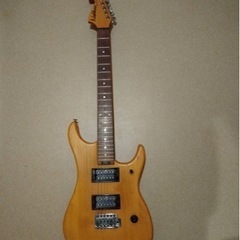 Washburn N1 Nuno Bettencourt モデル...