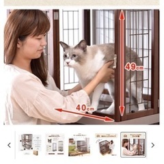 猫、木製ゲージ