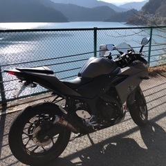 YZF-R3 YAMAHAの画像