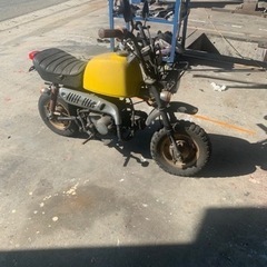Z50Jゴリラ不動
