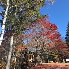 お茶友達しませんか。茅野、諏訪、岡谷あたりで − 長野県